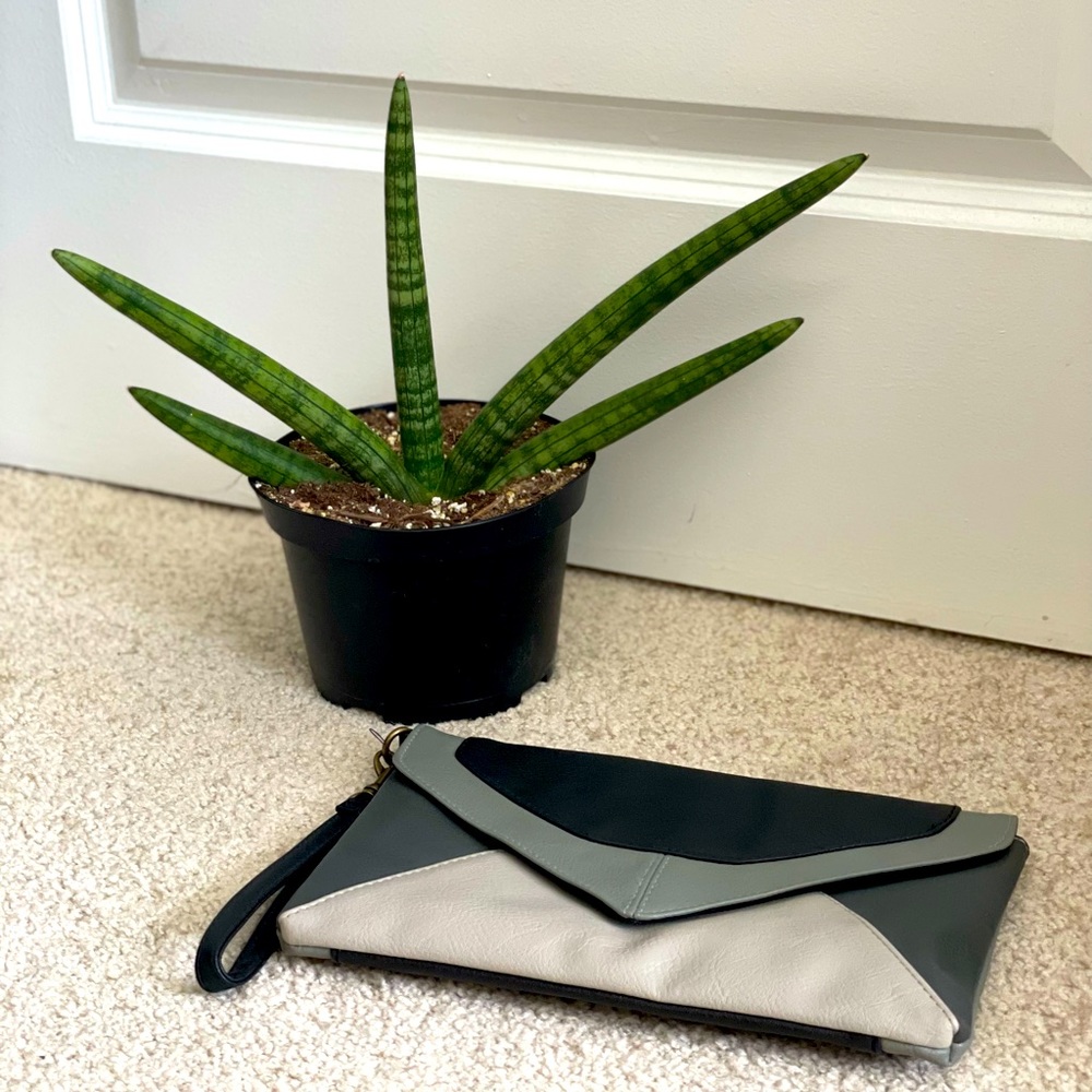 Mossimo Purse / Wristlet / Clutch / Envelope Wallet